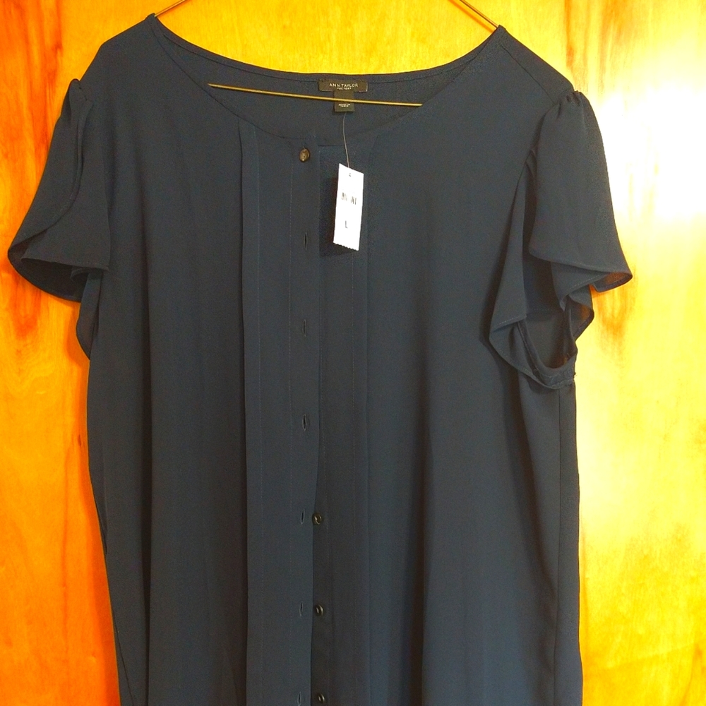 Ann Taylor
